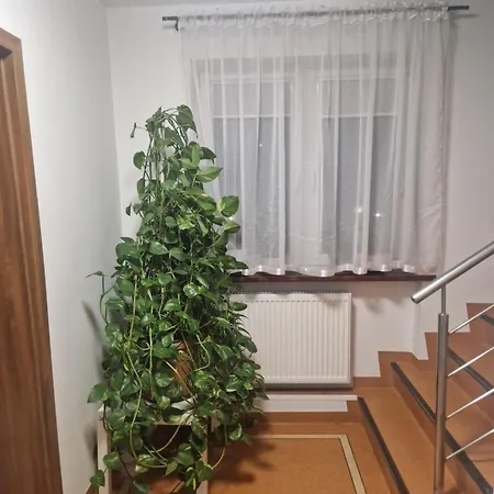 Budomas Budget Wroclaw-szymanow Freeparking Smarttv *